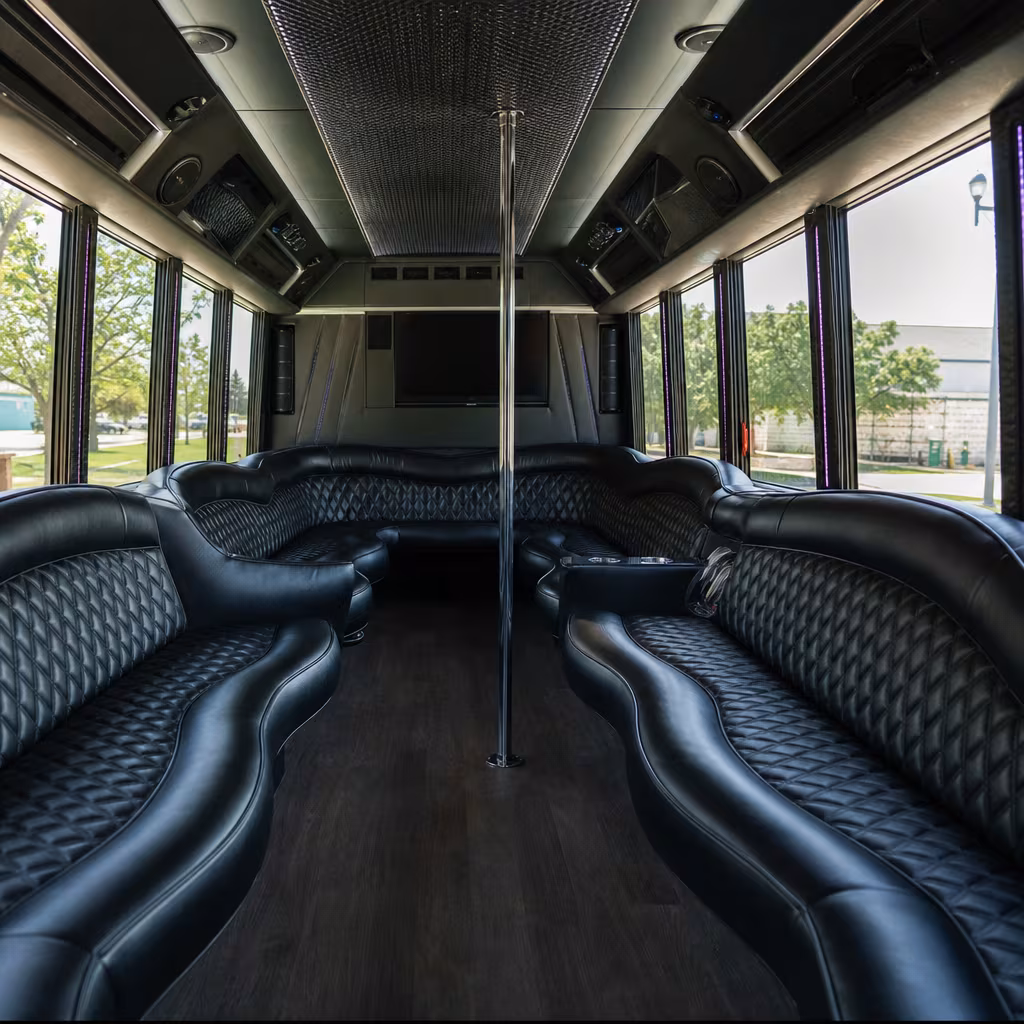 Passenger watching the Dallas scenery during a regional party bus road trip