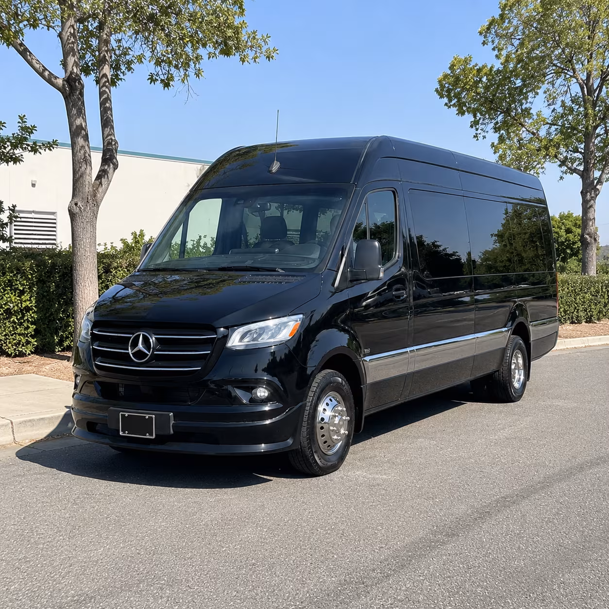 McKinney Corporate Event Transportation