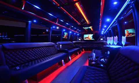 Arlington 30 Passenger Party Bus Black Interior